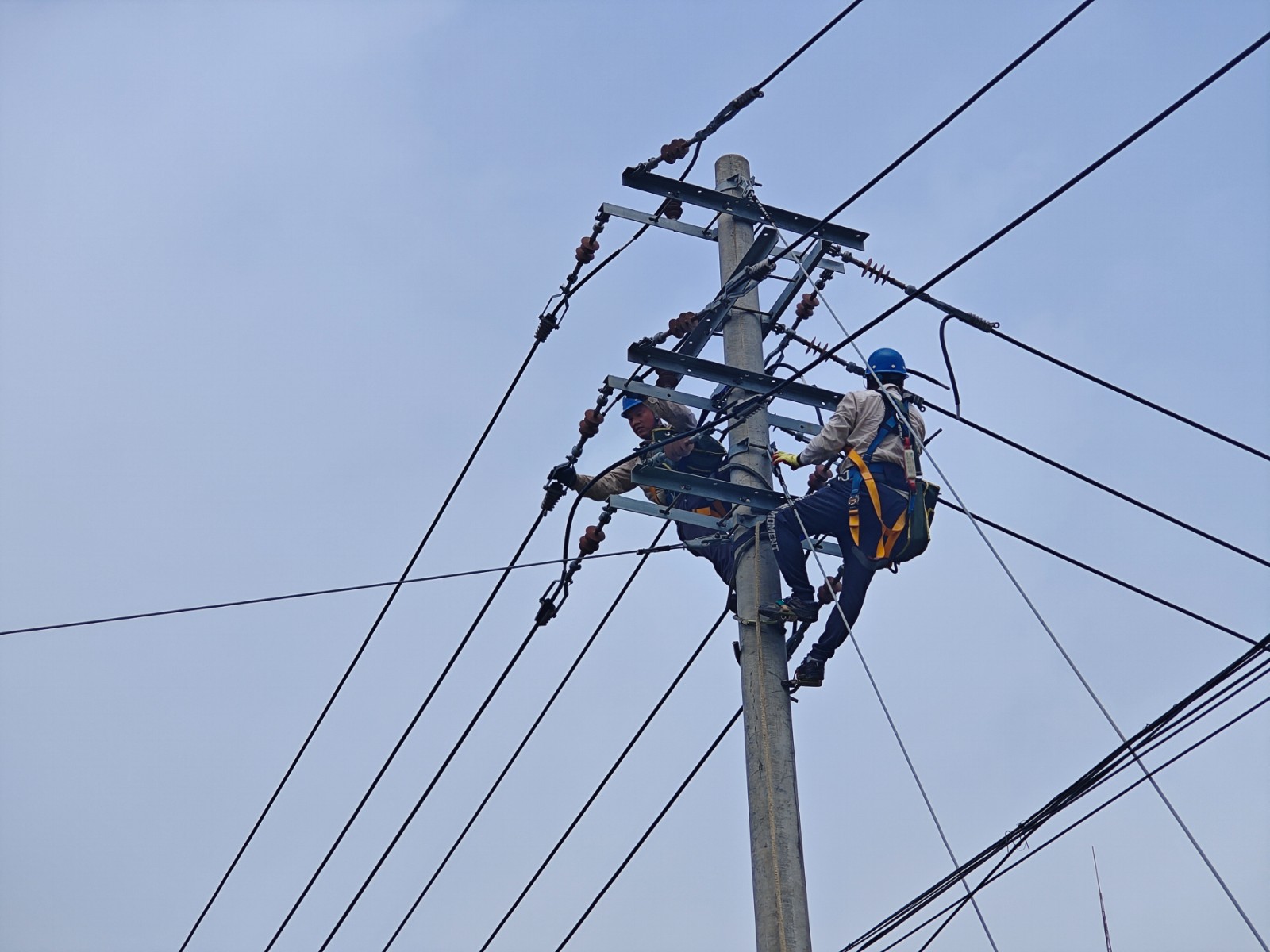 1726619348260 1726300448700