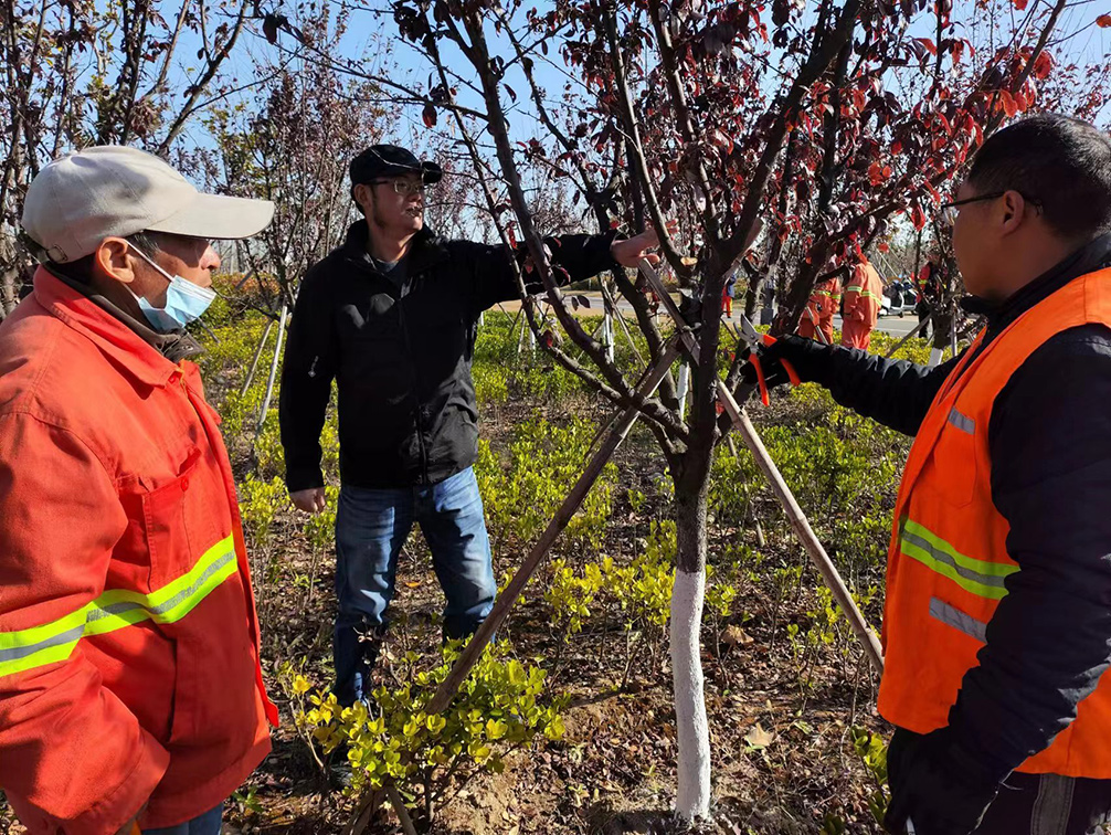 31EE458B90C1EE1655BB22913D44DA00