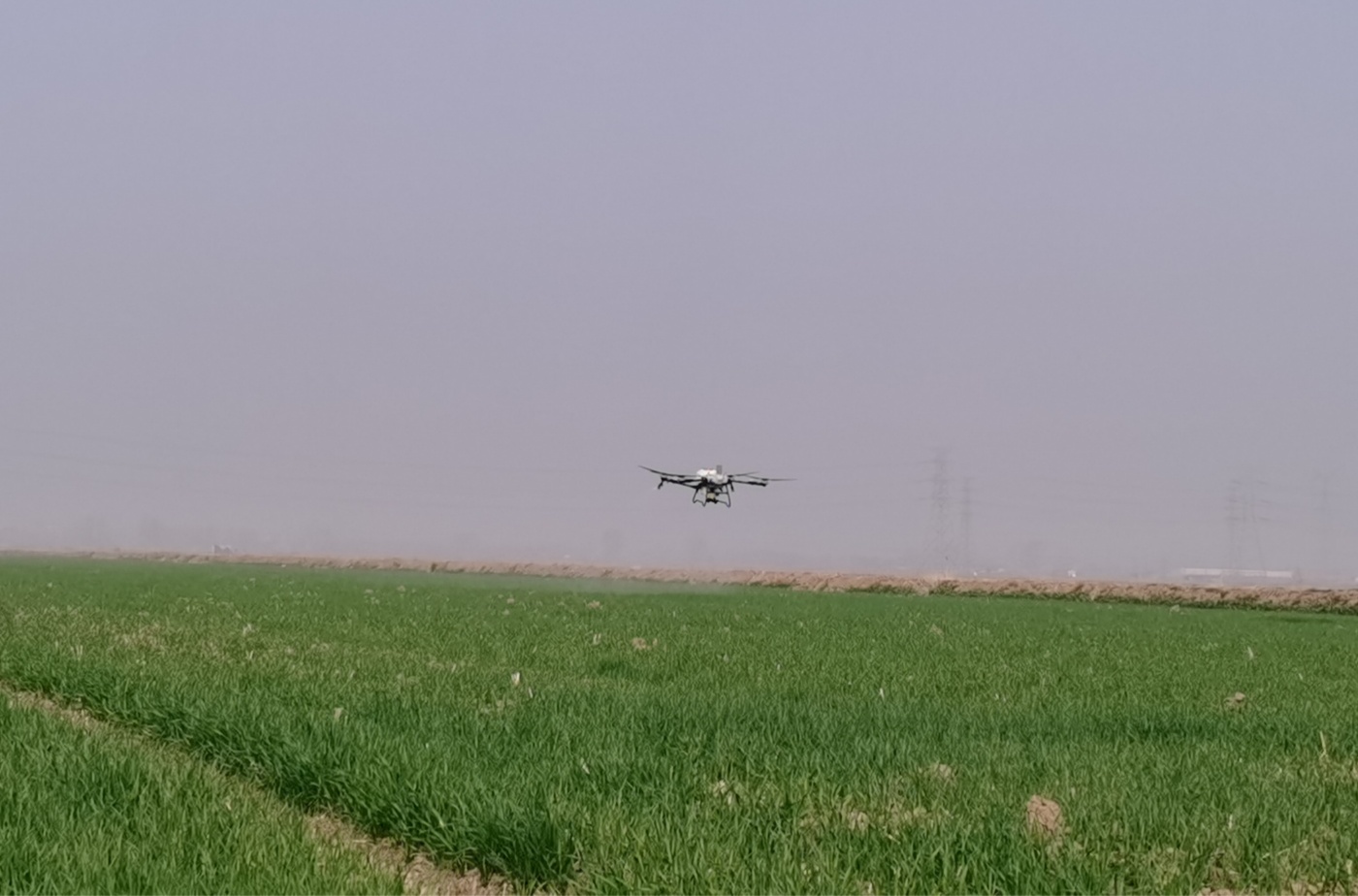 小麥無人機(jī)施肥_副本