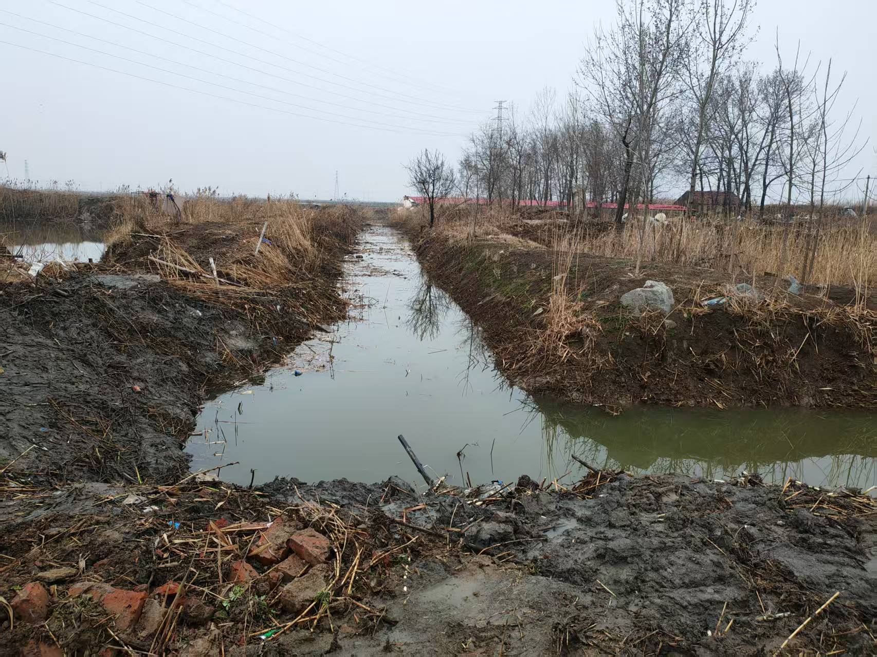 QQ圖片20260320144249