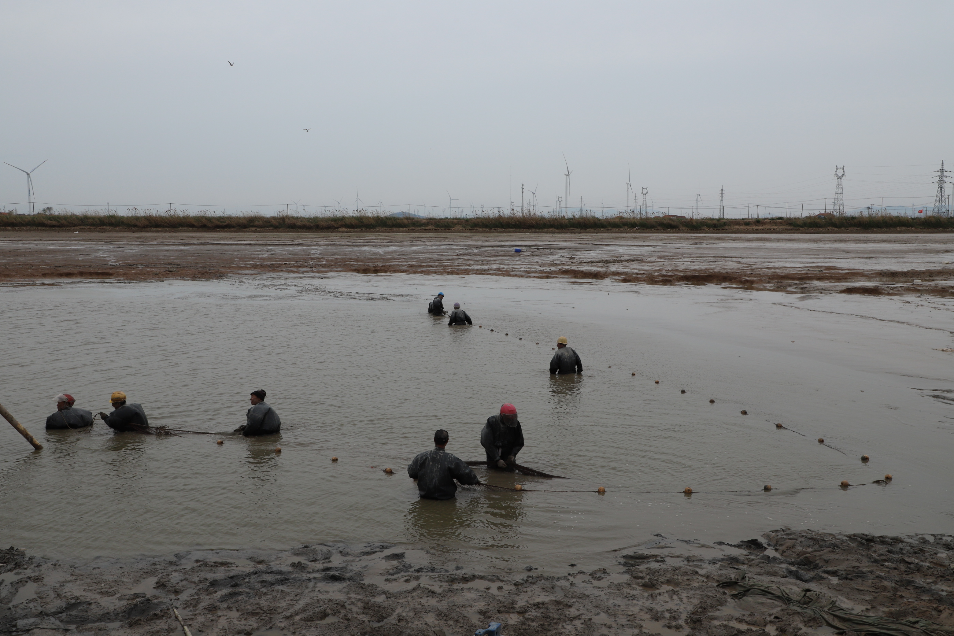 IMG_9008.JPG IMG_9008.JPG